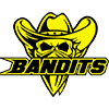 Yellow and black logo featuring a skull wearing a cowboy hat and bandana, with the word BANDITS in bold letters below.