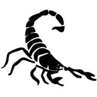Black silhouette of a scorpion with a curved tail, pincers extended, and legs spread, shown on a plain light background.
